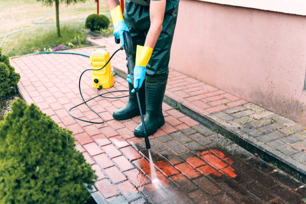 Best Sidewalk and Walkway Cleaning  in Vinton, TX
